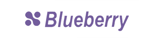 Blueberry logo in ReStory: Chill Electronics Repairs