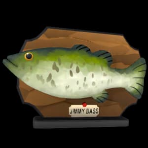 Singing Bass